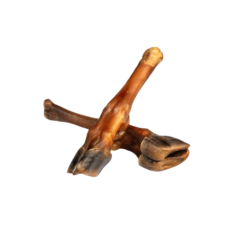Goat Leg with Hoof 3