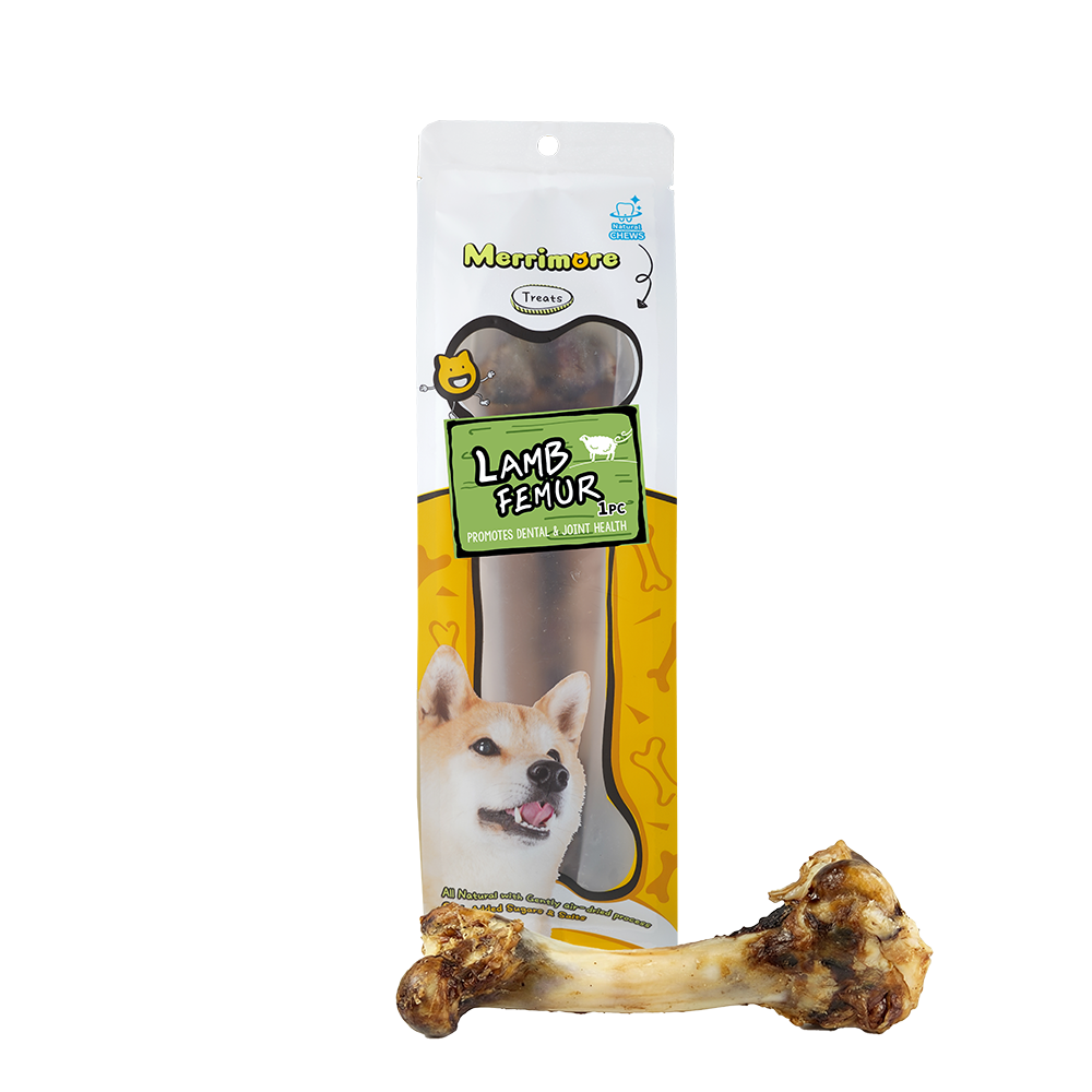 Lamb Femur Bone 1
