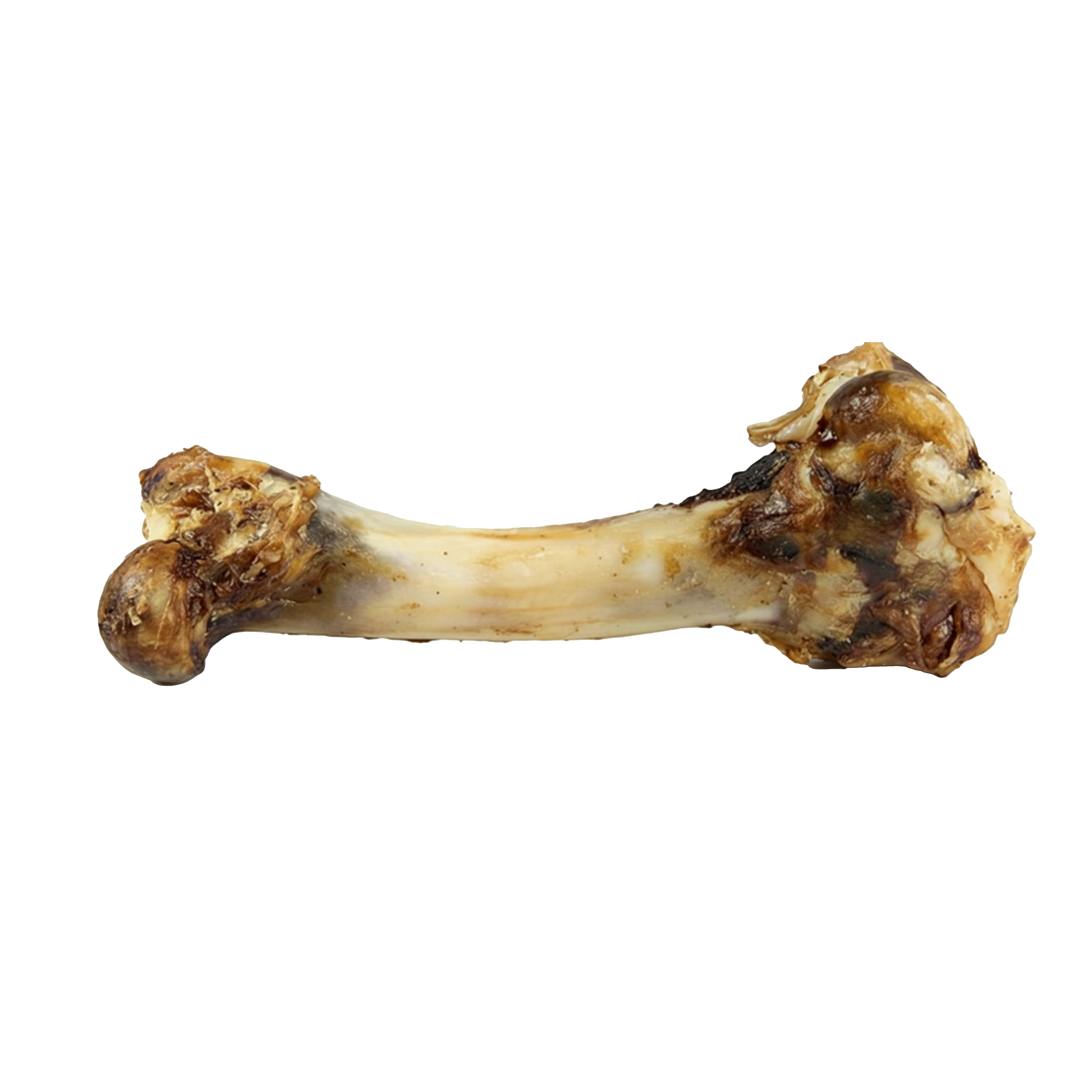 Lamb Femur Bone 3